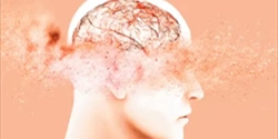 كيف نعمل على تنظيف الدماغ وحماية من الخرف ...؟؟
